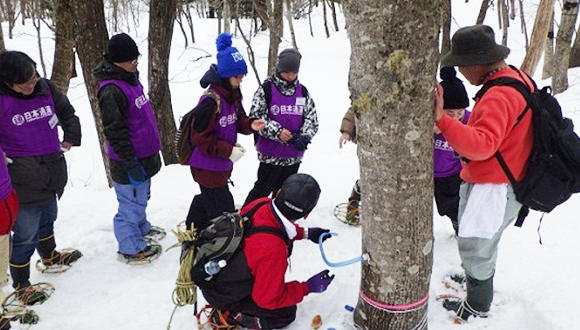 日通、山形県「日通の森」で冬の森林育成活動